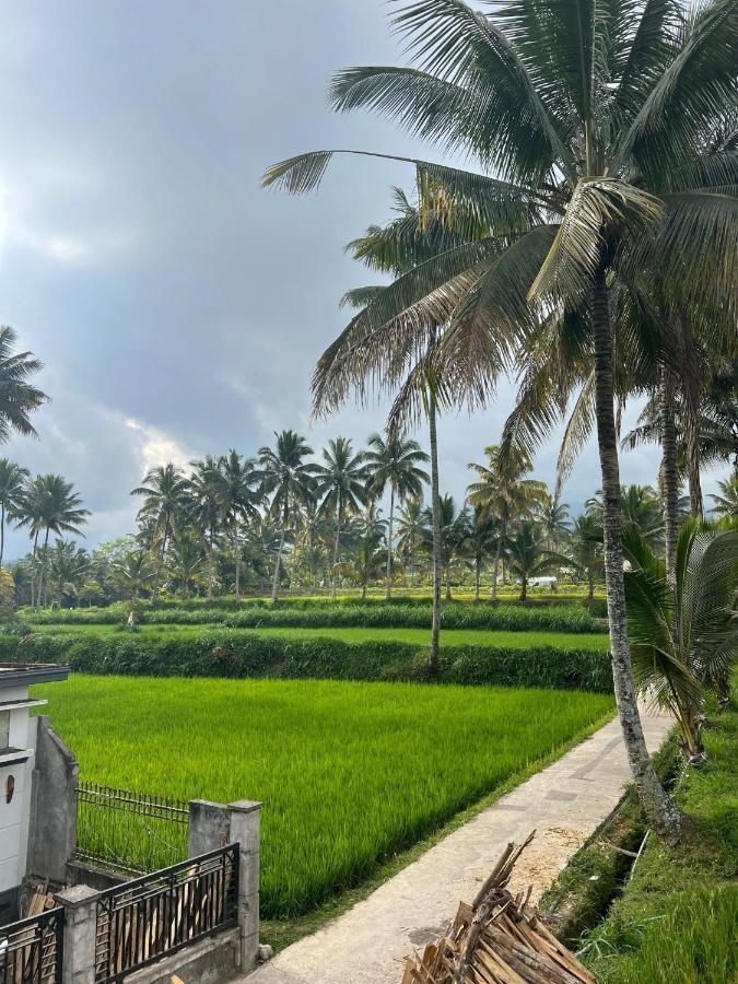 Myhome - Lombok Tetebatu