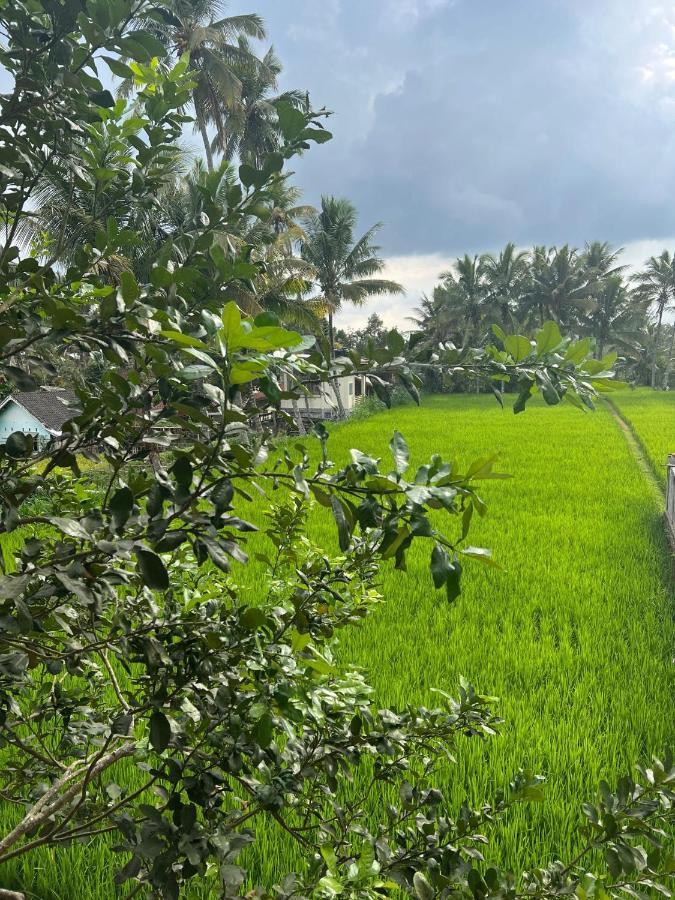 Myhome - Lombok Accommodatie bij particulieren Tetebatu