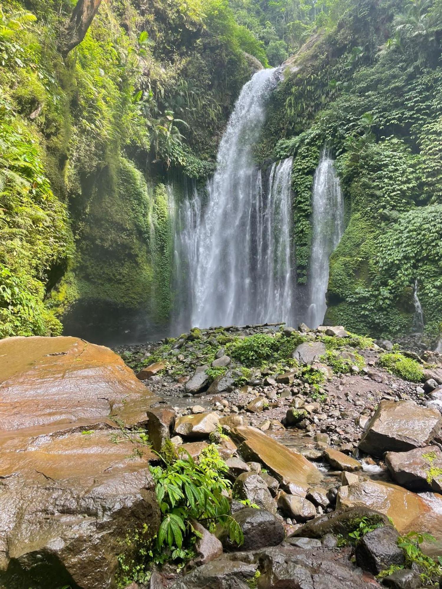 Accommodatie bij particulieren Myhome - Lombok Tetebatu