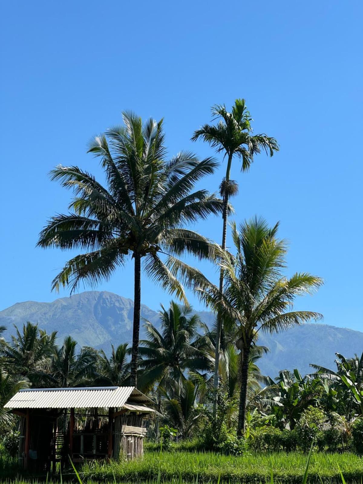 Privatunterkunft Myhome - Lombok *