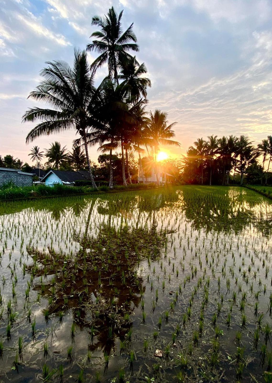 Myhome - Lombok * Tetebatu