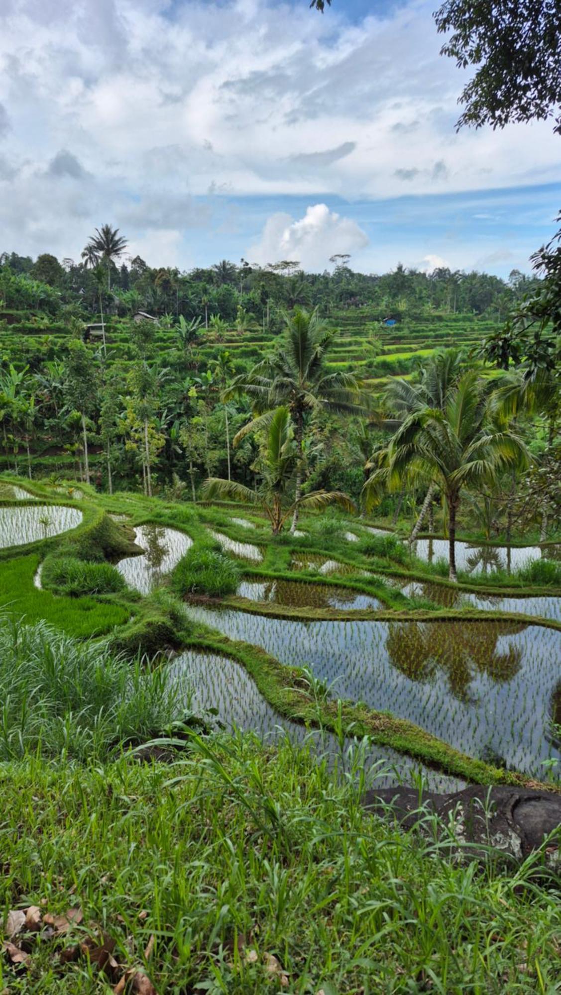 Privatunterkunft Myhome - Lombok *